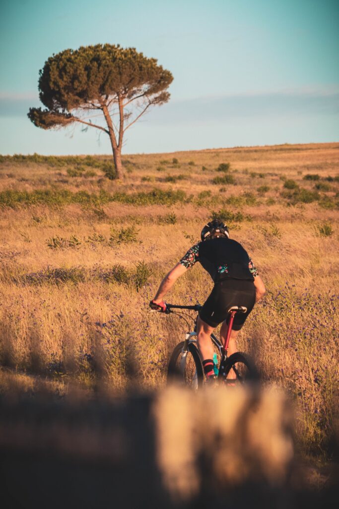 VTT